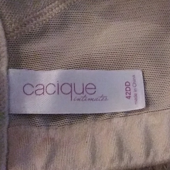 Cacique no wire pad bra - Picture 2 of 3